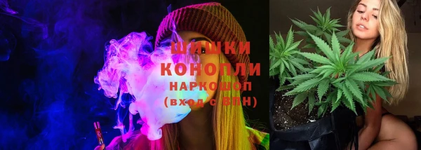 бошки Краснослободск