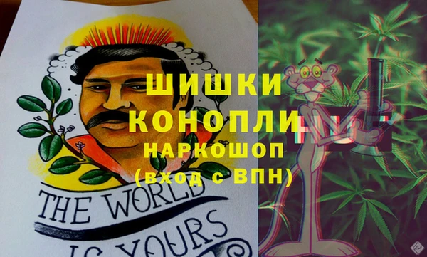бошки Краснослободск