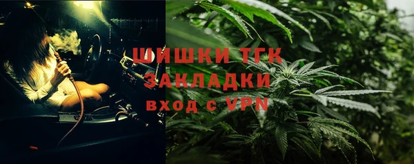 бошки Краснослободск