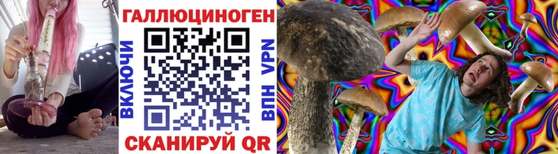 Купить где  Феодосия  Галлюциногенные грибы Psilocybine cubensis 