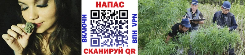 Марихуана индика  Купить  Феодосия 